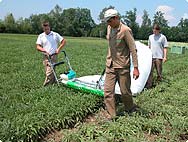 Salvia officinalis - Preparation